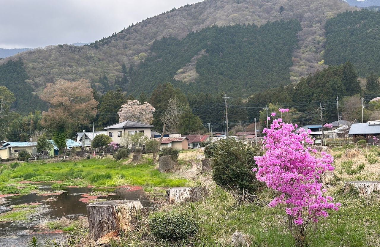 Fujinomiya Image2