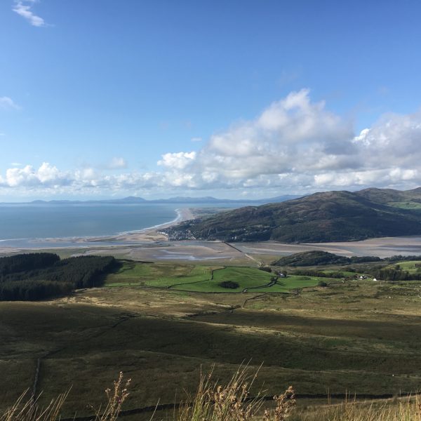 Carmarthen To Pwllheli Img4