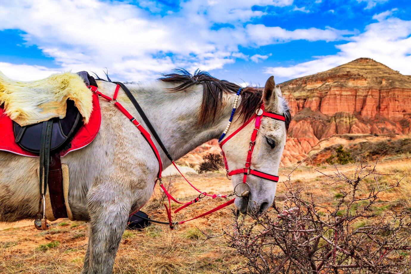 red-valley-cappadocia-turkey_129479-340