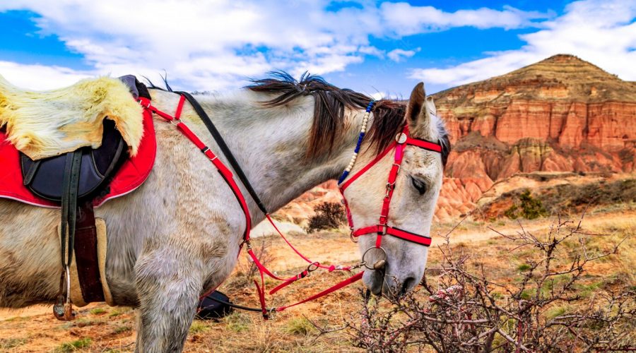 red-valley-cappadocia-turkey_129479-340
