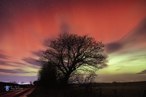 Aurora-Borealis, northern-lights, Tony-Tomlinson-Photography, winter, Maryport, Cumbria,