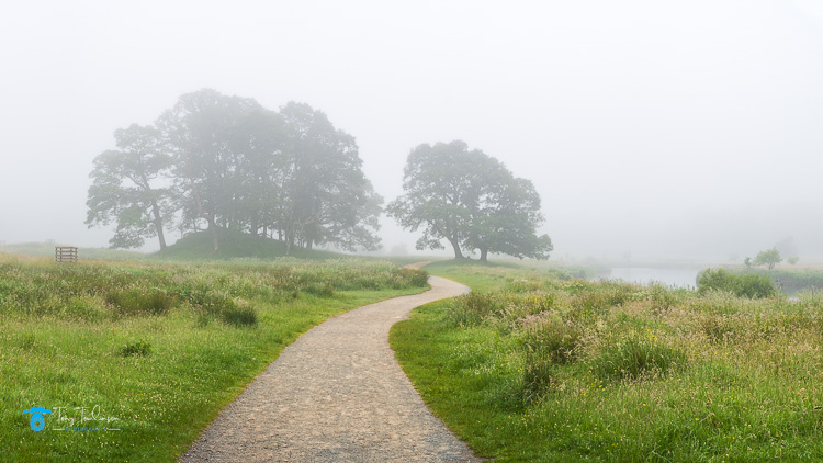 Cumbria, Elterwater, lake-district, Landscape, Langdale, Mist, river, river-brathay, Summer, tony-tomlinson-photography, UK