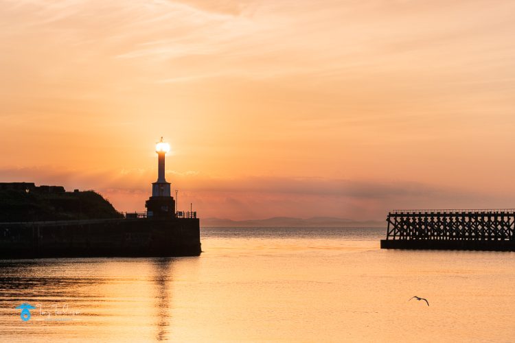 harbour, Maryport, old-lighthouse, sea-bird, solway-firth, Summer, Sunset, tony-tomlinson-photography