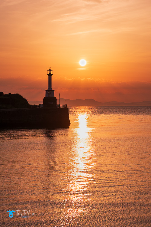 harbour, Maryport, old-lighthouse, sea-bird, solway-firth, Summer, Sunset, tony-tomlinson-photography