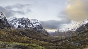 A view from the Study in Glencoe
